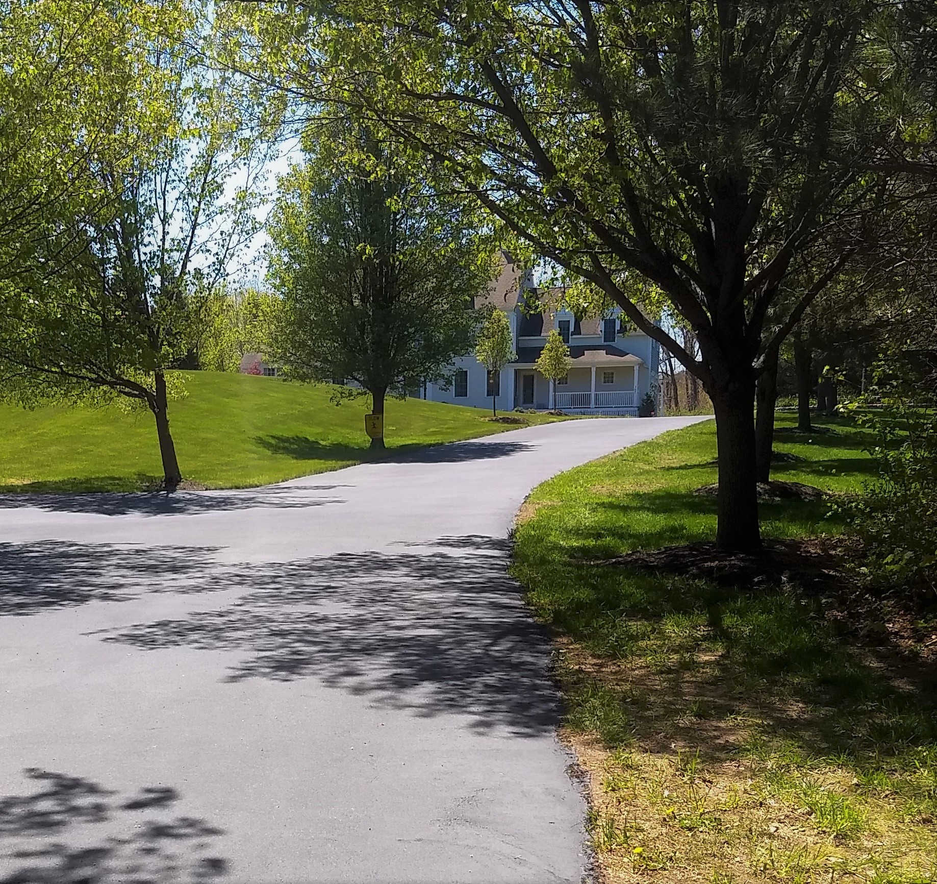 A long tree-lined driveway looks brand new after sealcoating by Cametti